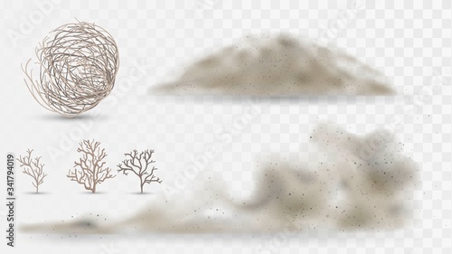 Desert plants and dust, arid climate elements on a white background, tumbleweed and sandstorms