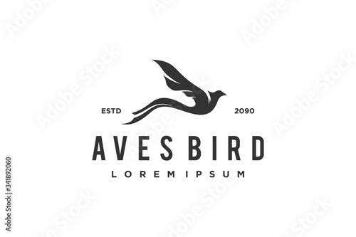 Long tailed bird logo, aves silhouette icon symbol.