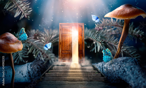Fantasy enchanted fairy tale forest with magical opening secret door and stairs leading to mystical shine light outside the gate, mushrooms and flying fairytale magic butterflies in woods