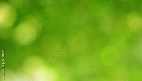 Spring Nature Bokeh Background Beautiful Blurred Green Leaves is a green bokeh that blurs the focus of leaves from the trees