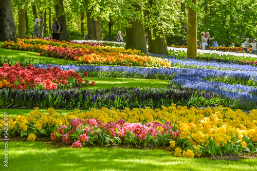 Parque floral de Keukenhof (Lisse, Holanda Meridional, Países Bajos) / Bloemenpark Keukenhof (Lisse, Zuid-Holland, Nederland) Campo de flores de varios colores