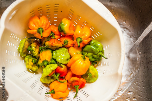 An assortment of Scotch bonnet peppers being washed with tap water in a basin using a plastic cullender