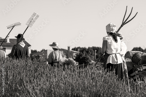 travail des champs à l'ancienne