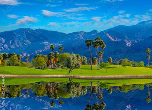 Palm Trees line a green belt and pond in Palm Springs, California