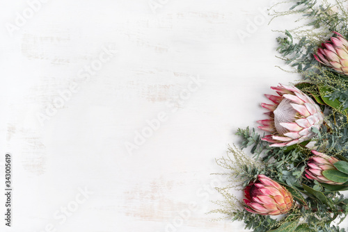 Beautiful decorative pink king protea flower surrounded by pink ice proteas and wattle leaves, creating a floral border on a rustic white background.
