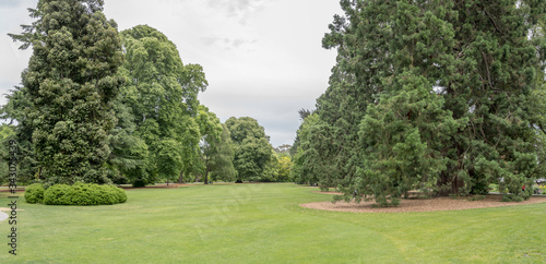 green lawn with big trees around at Botanic Gardens, Christchurch, New Zealand