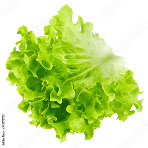 salad, lettuce leaf, isolated on white background, clipping path, full depth of field