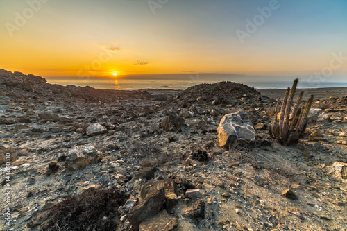 Amazing sunset over the sea view at Atacama Desert coast. Orange landscape illuminated by the sunlight with an arid scenery full of cactus plants, sand and rocks, a tranquil scene for a lonely place 