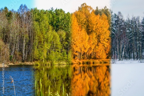 cztery pory roku na jednym zdjęciu, widok na staw w czterech porach roku, wiosna, lato, jesień, zima