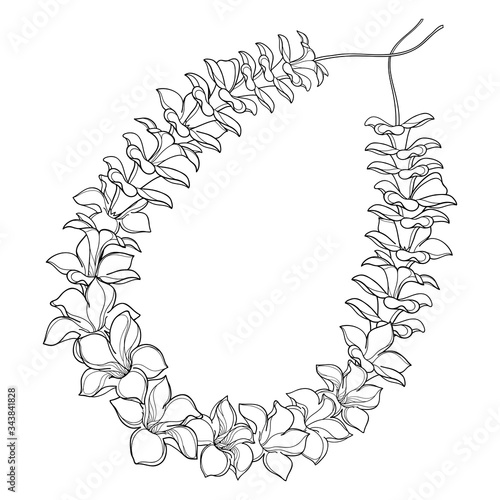 Outline Hawaiian lei necklace from tropical Allamanda flower and petal in black isolated on white background. 