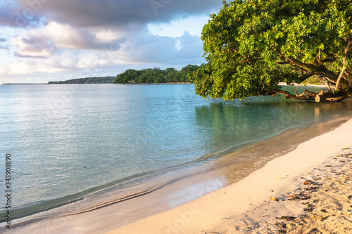 sunset on idyllic sand beach blue lagoon champagne coast on Espiritu Santo island Vanuatu