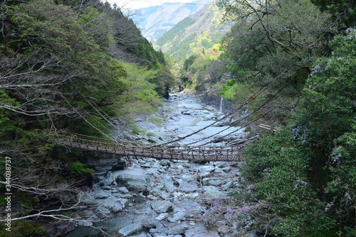 Japan's Shikoku region Is a bridge made of wood in Tokushima Prefecture Iya no Kazura Bridge tourist attraction 