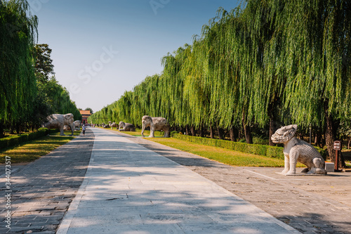 Sculptures of animals in the tomb of the emperor of China