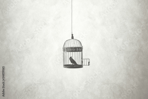 freedom minimal concept, bird in an open cage