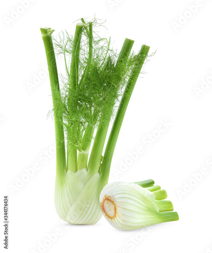 Fresh fennel on a white background