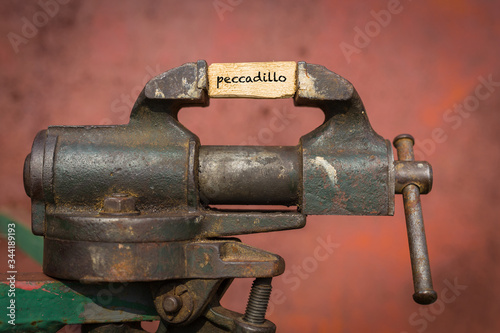 Vice grip tool squeezing a plank with the word peccadillo