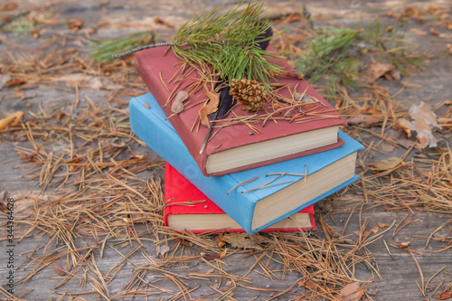 Forgotten books on a wooden table in a city park. Coniferous branch, fir cone, coniferous needles on books. Three books, three stories, three lives.