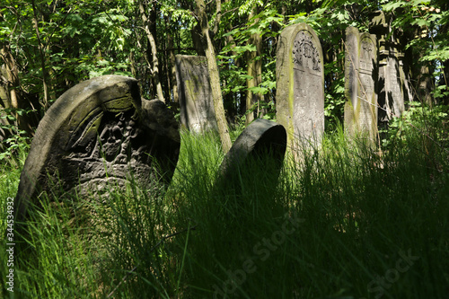 Old jewish cemetery in Lodz, Poland