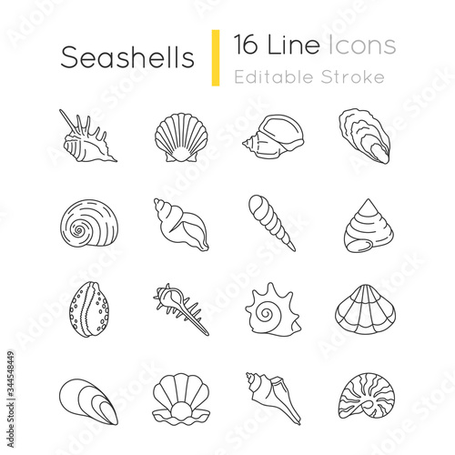 Seashells pixel perfect linear icons set. Different mollusk shells customizable thin line contour symbols. Various sea shells collection isolated vector outline illustrations. Editable stroke