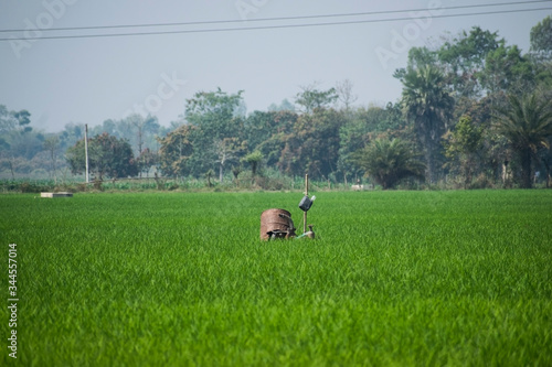 Agriculture field green landscape with forest behind. A watering pump machine in the middle of the field