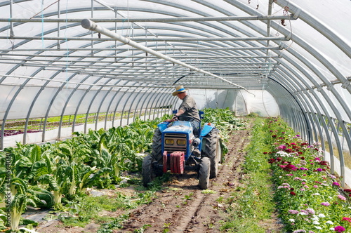 ouvrier agricole dans son maraicher