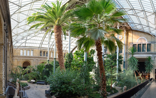 Winter garden atrium