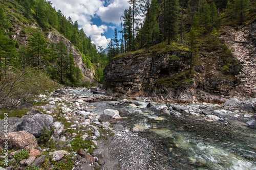 A small mountain river flows through the gorge. A lot of stones in the riverbed and forests along the edges. Horizontal.