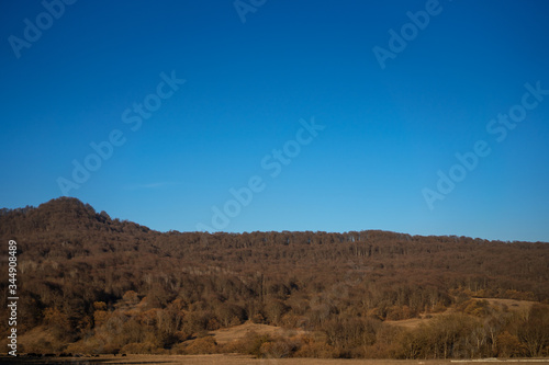 Mountain landscape with trees and sky