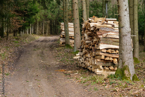 Haufen mit gestapeltem Brennholz an einem Waldweg (Waldwirtschaft)