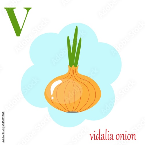 V is for vidalia onion illustration alphabet 