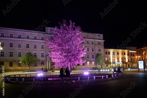 Podświetlane drzewo na Placu Litewskim w Lublinie
