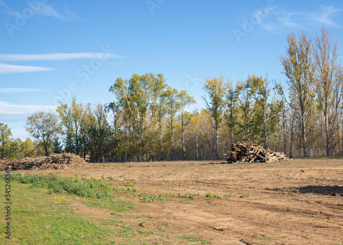 Large pile of woody material from land clearing of surrounding bush and trees 