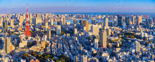 Japan. Panorama of Tokyo from afar. The streets of Tokyo bird's eye view. Japan on a summer day. Japan building. Japanese city view from a drone. Architecture. Tokyo urban