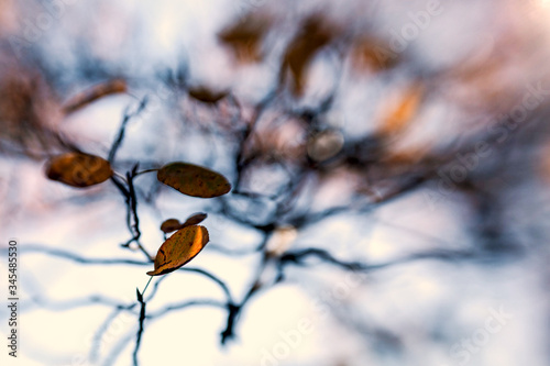 contemplative photography, autumn in motion