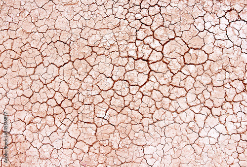 Seamless dry soil cracked texture background