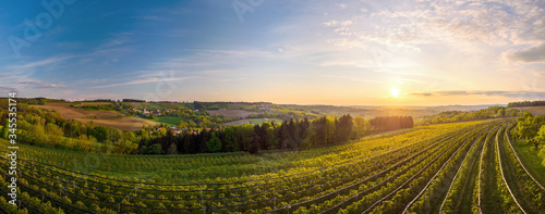 Kulturlandschaft mit einer Kirschbaumplantage im Vordergrund und Scharten in Oberösterreich im Hintergrund