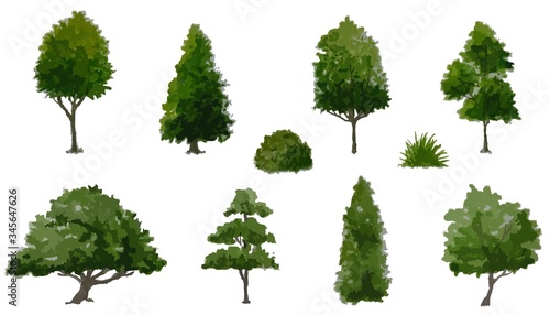 collection of watercolor trees side view isolated for landscape plan