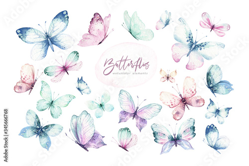 Watercolor colorful butterflies, isolated butterfly on white background. blue, yellow, pink and red butterfly spring illustration.