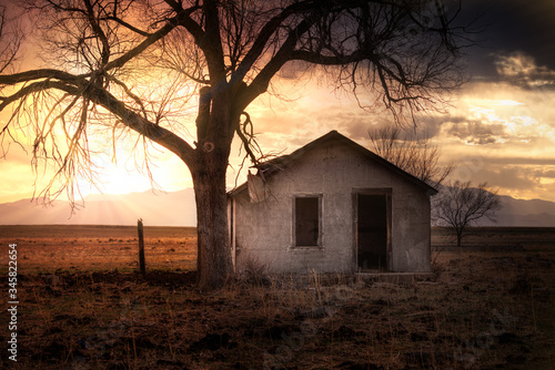 Old abandoned house in a rural setting at sunset in Colorado. The house is falling apart. There is a dead tree out front. 