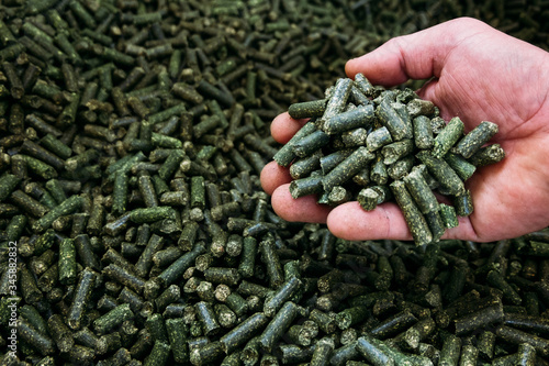 a large number of alfalfa green granules in a warehouse for the production of agricultural feed