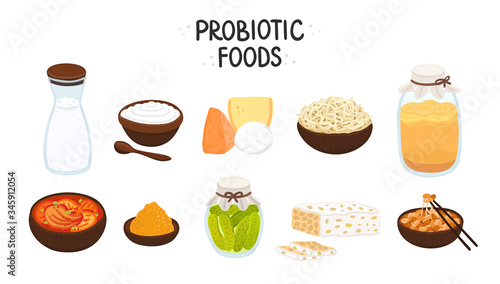 Vector probiotic foods. Best sources of probiotics. Beneficial bacteria improve health. Isolated elements is for label, brochure, menu, advertising, article about diets, healthy and proper nutrition