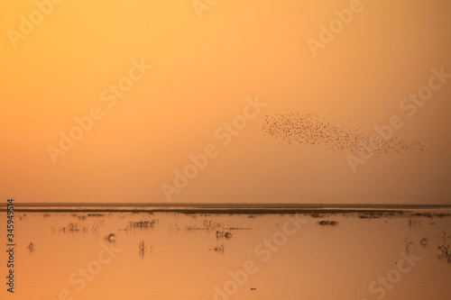 Malowniczy zachód słońca na spokojnej rzece Niger w afryce z szuwarami i przelatującymi ptakami