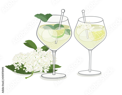 Elderflower summer drink - isolated vector illustration 