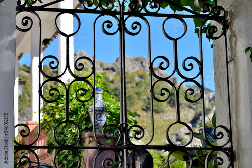 naturaleza tras la reja montaña y plantas detrás de la reja Grazalema Andalucía España 