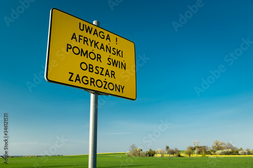 Yellow traffic sign, warning! African swine fever affected area, inscription in Polish