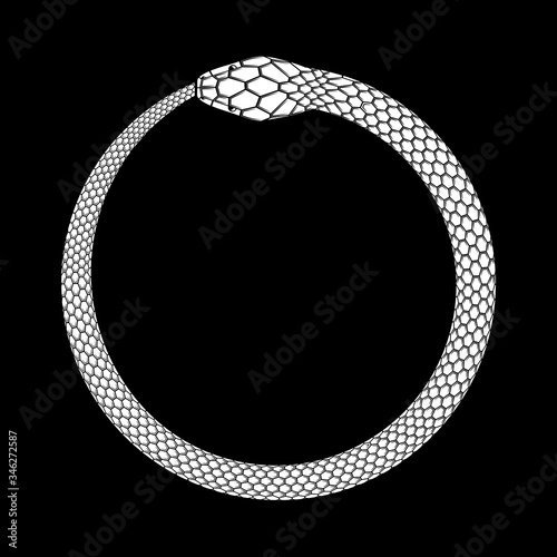 Ouroboros icon, detailed symbol of snake eating its own tail. White vector illustration EPS 10