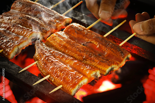 うなぎの蒲焼き Grilled eel with soy based sauce