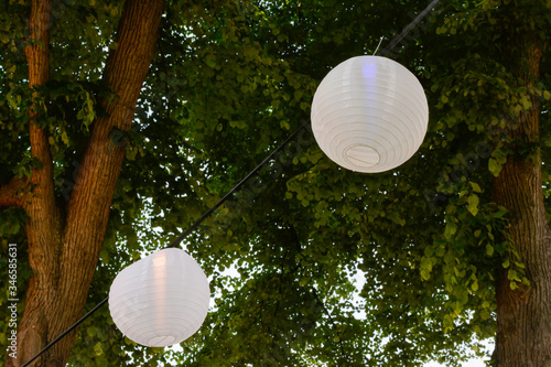 White paper lanterns lamps illuminated in trees hanging outside in trees at a festival party