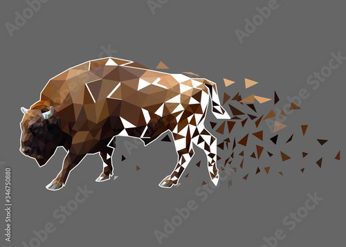Adult bison going great and part of fall. The disappearance and extinction of rare species of animals. The abstract polygonal image. Created with triangles on a gray background. Vector