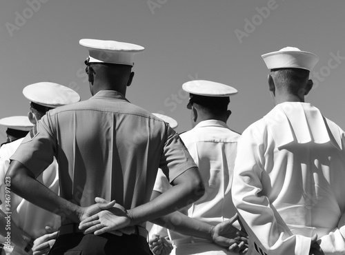 US Navy sailors from the back. US Navy army.